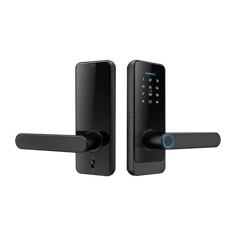 Cerradura Inteligente LS-C89